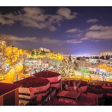 فندق Palas 3*