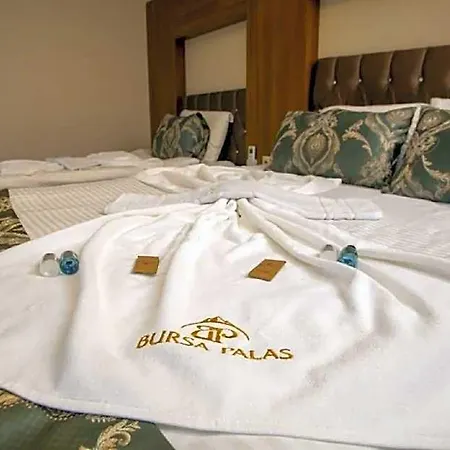 فندق Palas 3*